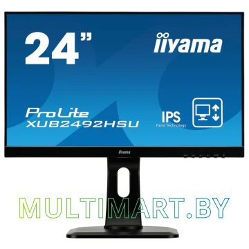 Монитор Iiyama ProLite XUB2492HSU-B1